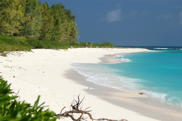 Seychelles’ plan for clean-beach ‘White Flag’ designation interrupted by fraud allegations