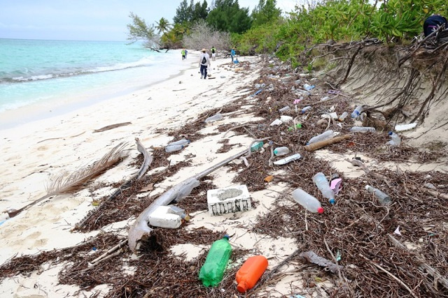 Seychelles' environmental officers study litter's sources, pathways and impacts on marine life