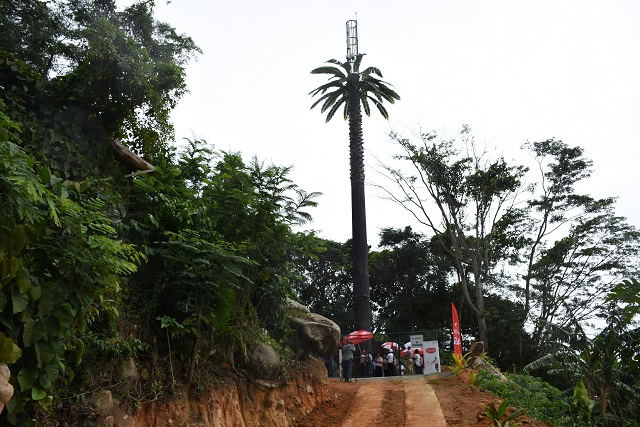 New mobile phone tower in Seychelles is meant to blend in to tropical surroundings