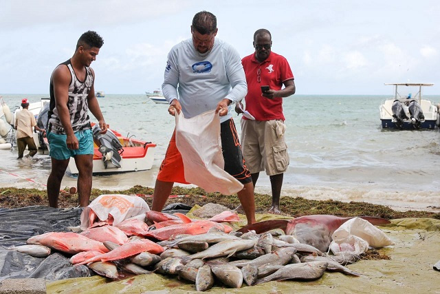 Fishermen on Seychellois island voluntarily close down fishing zones in a bid to protect stock