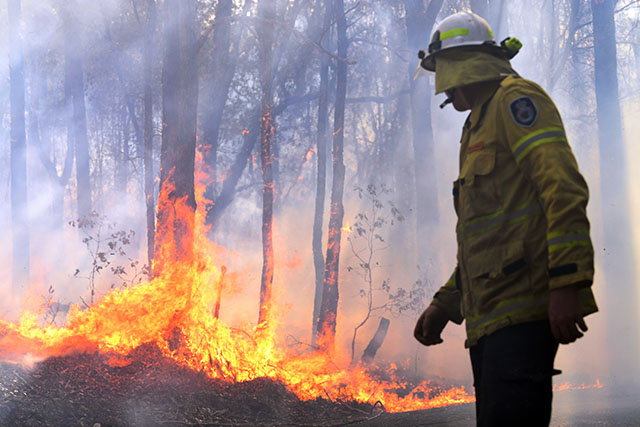 Des dizaines de feux dans l'est de l'Australie, les pompiers à la peine