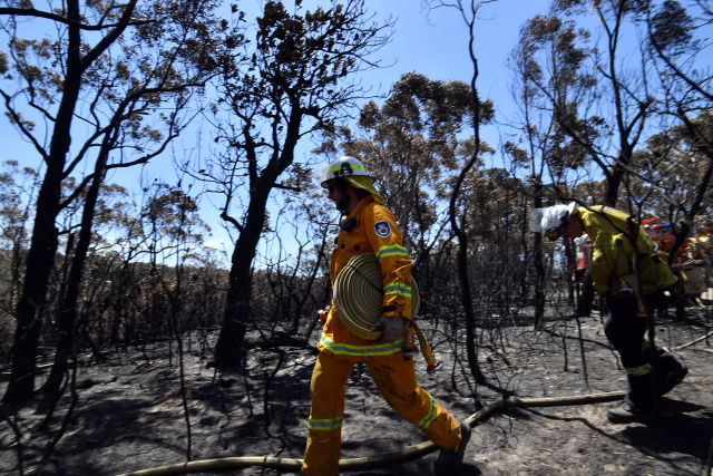 Australia readies for 'catastrophic' bushfires