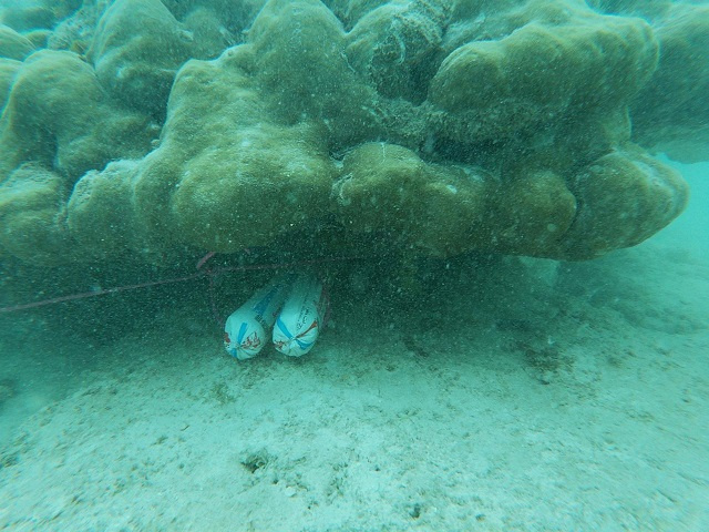 Seychelles to remove coral in channel obstructing waterway for fishermen