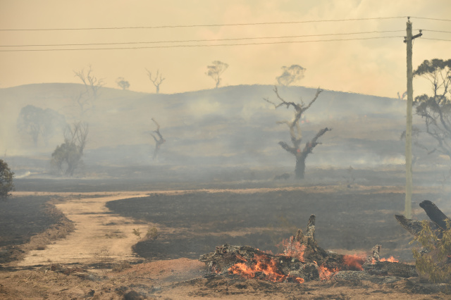 Downpours to end Australia bushfires within days