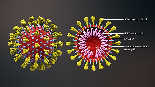 Seychelles and COVID-19: 2 new positive cases confirmed, brings total to 10