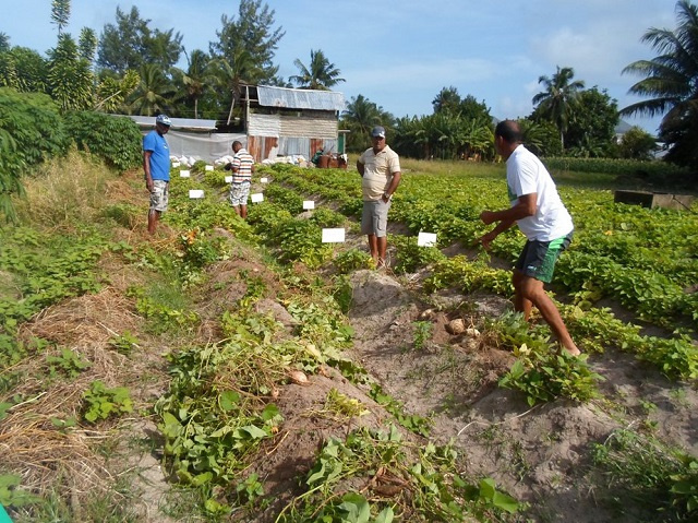 COVID-19 aujourd'hui, le changement climatique demain: les Seychelles face à une double menace le jour de la Terre