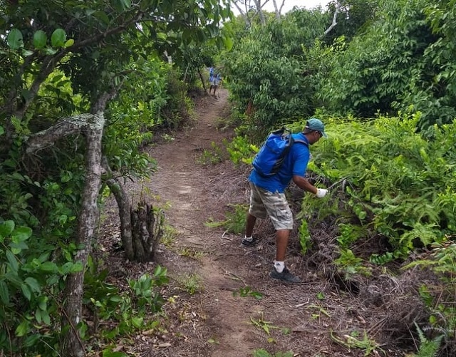Seychelles National Parks staff clear nature trails during tourism low point