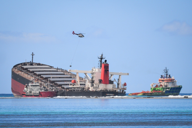 The Japan firms behind Mauritius oil-leak ship