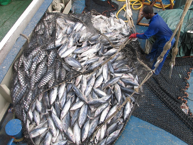 6,600 tonnes of catch brought $13 million into Seychelles' economy in 2019