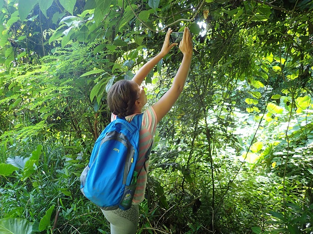 iNaturalist photo competition asks Seychellois to take pics of plants, animals