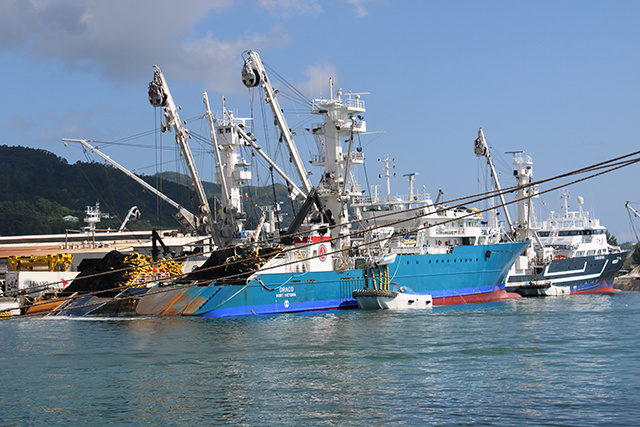 8 of 13 Seychelles’ tuna fishing vessels grounded until 2021 after reaching yearly quota