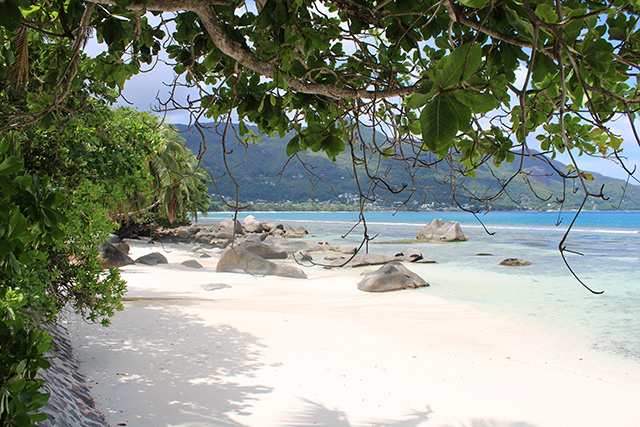 Les Seychelles atteignent 100 000 touristes, avec la venue des Israéliens