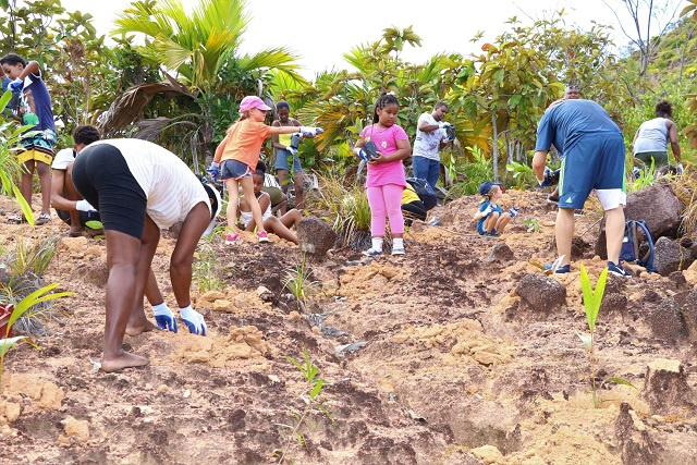 Reforestation campaign in Seychelles on target to plant 250,000 trees