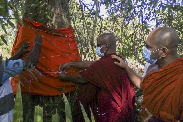 Sri Lankan monks 'ordain' last legume