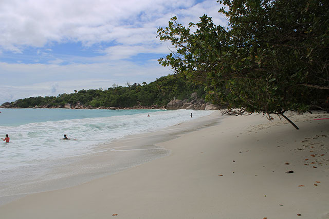 3 800 visiteurs arrivent aux Seychelles, une semaine après la relance du tourisme