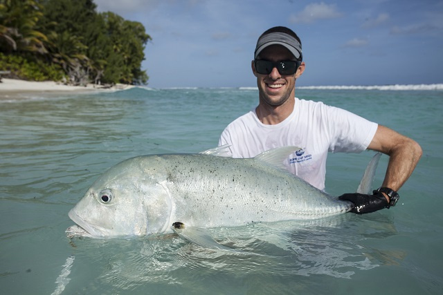 Nursery areas of Seychelles giant trevally must be protected for species to survive, study finds