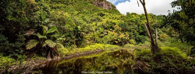 Seychelles' biggest water basin to undergo rehabilitation for better storage