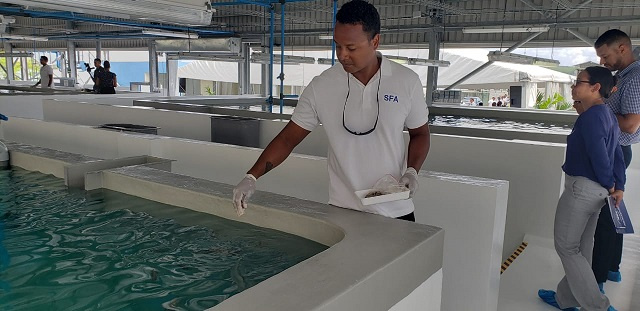 Aquaculture industry, delayed by COVID, to come online in Seychelles later this year