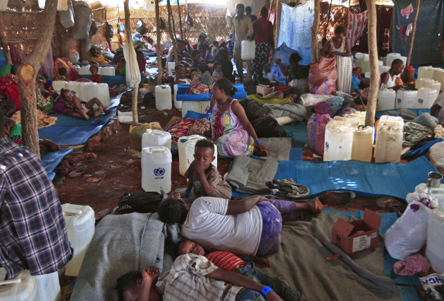 Over 30,000 children risk death in famine-hit Tigray: UN