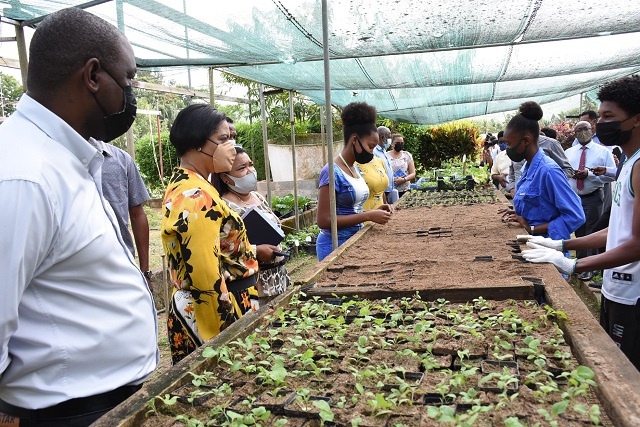 Seychelles encouraging more students to study, remain in agricultural field