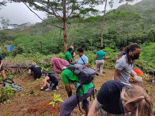 British High Commission plants trees ahead of larger Green Footprint Seychelles campaign