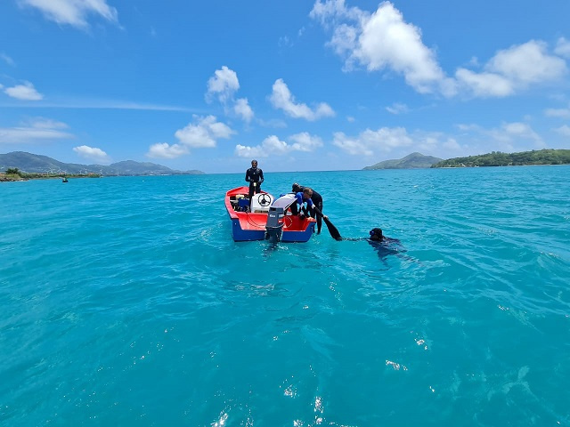 Divers clean marine park in Seychelles as part of global clean-up campaign