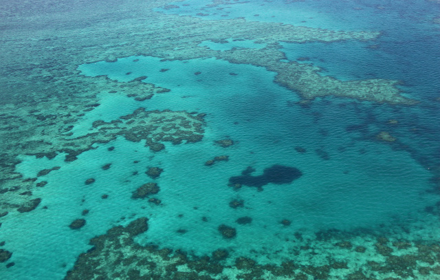 Great Barrier Reef suffers 'widespread' bleaching event