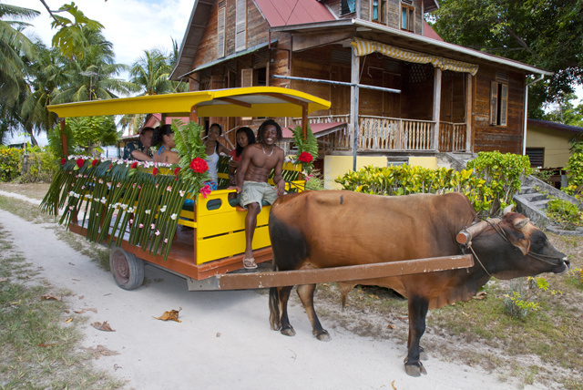 Les Seychelles n'ont plus qu'un seul opérateur de char à bœuf à La Digue - il nous dit que la tradition de l'île doit être sauvée