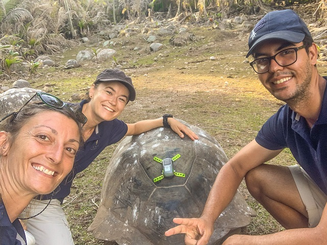 Conservationists track 'Mario' and 'Norbet' around Fregate in Seychelles
