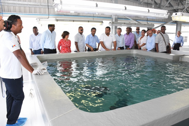 Économie bleue : les Seychelles prévoient de réorganiser leur politique d'aquaculture d'ici la fin de 2022