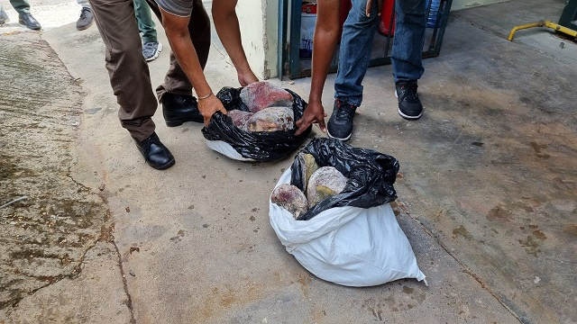 Turtle poaching: Over 100kg of meat destroyed, while Seychelles court case continues