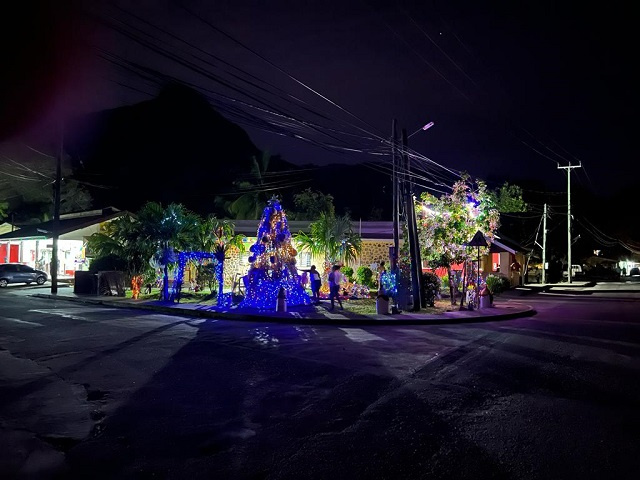 Winners announced for best of Seychelles' eco-friendly DIY Christmas trees 