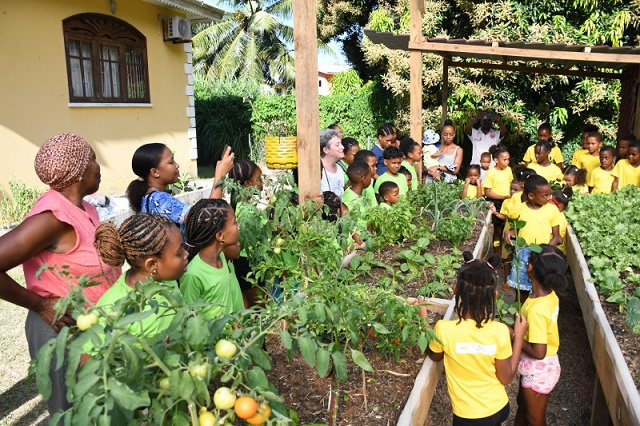 Little Explorers Clubs seeks to reconnect Seychellois children with nature
