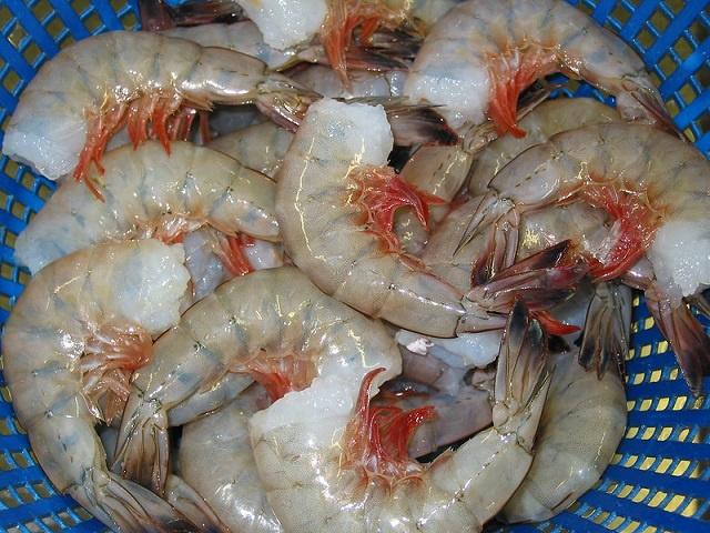 First batch of locally produced shrimp to hit Seychelles' market in April