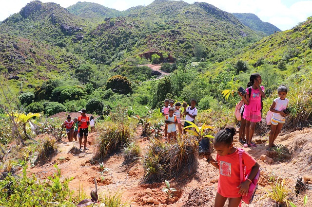 Terrestrial Restoration Action Society Seychelles rehabilitates Pasquière wetland on Praslin