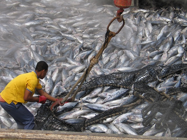 Discussions start on development of Seychelles Tuna Fishery Management Plan