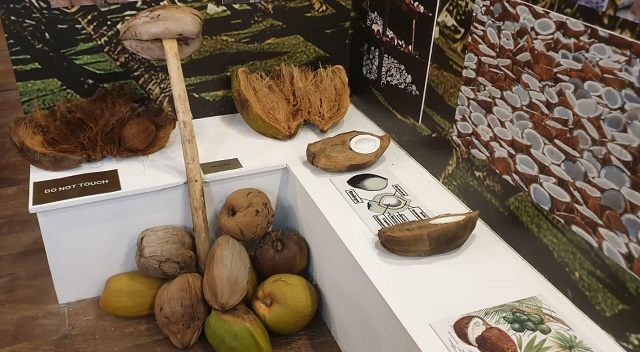 Mize Koko reopens in Seychelles as island nation plans its first-ever coconut festival