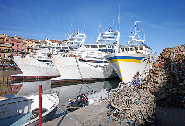 Pour s'attaquer à la surpêche, l'UE va durcir les contrôles et mieux surveiller les navires
