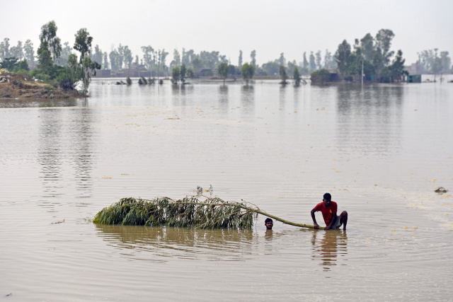 Delhi river reaches record high in monsoon floods