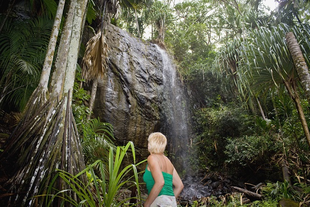 Les réserves de Fond Ferdinand et de la Vallée de Mai aux Seychelles remportent le Travellers' Choice Award 2023 de Tripadvisor