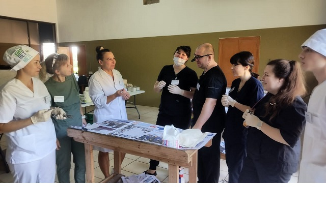 Des vétérinaires russes aident les Seychelles dans leur campagne de stérilisation d’animaux de compagnie