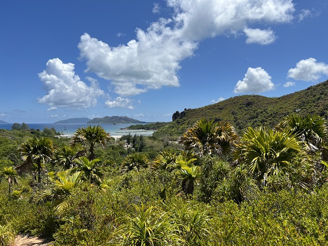 Les Seychelles ressentent des températures supérieures à la moyenne au début de 2024