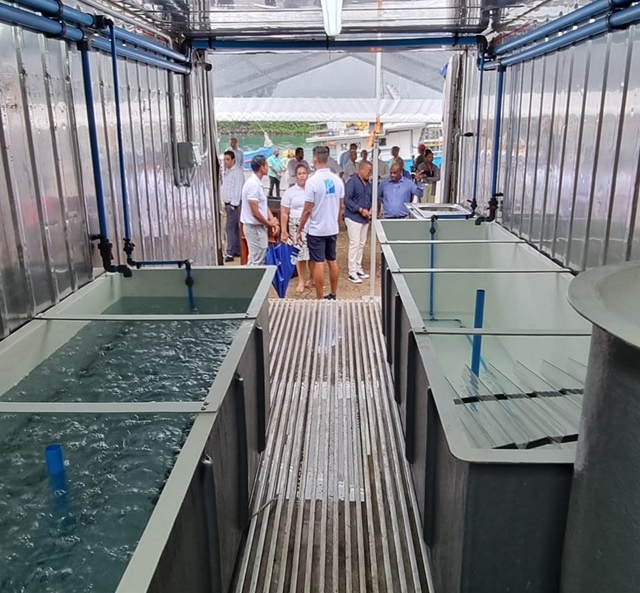 Ouverture de la première écloserie d'échinodermes en conteneur pour l'aquaculture aux Seychelles