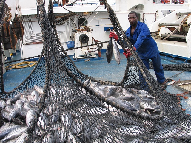 Possible effects of El Nino on yellowfin tuna catch in Seychelles, says fisheries minister