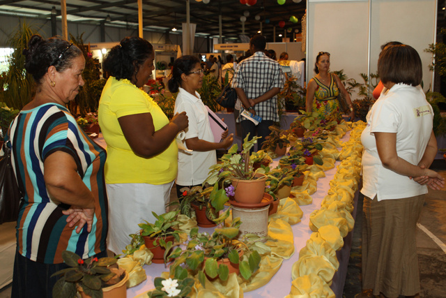 La Francophonie avec Elles - un fonds de solidarité pour les femmes des pays francophones - disponible aux femmes des Seychelles.