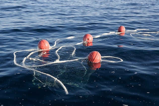 Greenpeace alerte sur la surpêche et appelle à ratifier le traité sur la haute mer