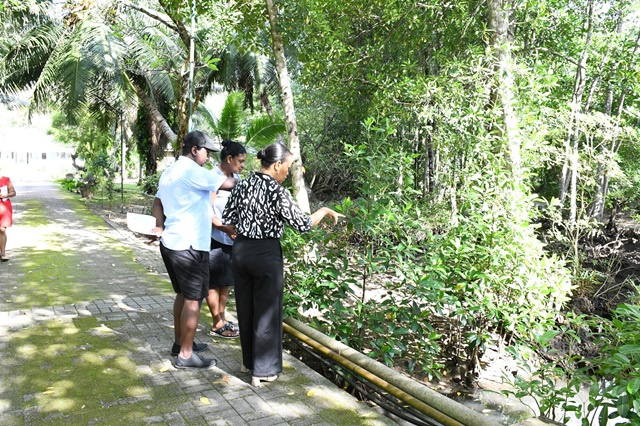 UNDP funds wetlands rehabilitation at Seychelles' popular cultural heritage site