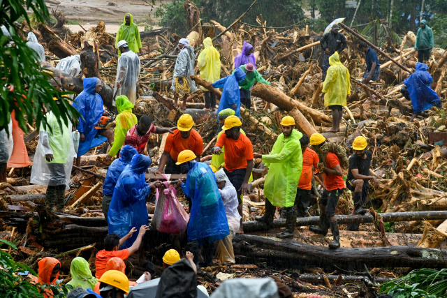 108 killed after landslides strike India tea estates