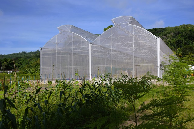 Climate-smart farming education in Seychelles gets new hydroponic system at SIAH