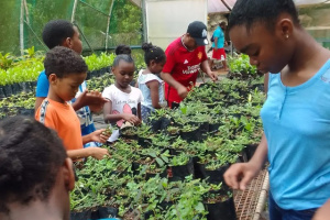 A new nursery focusing on agroforestry was opened this year under the Ridge-to-Reef Approach for Integrated Management of Marine, Coastal and Terrestrial Ecosystems project. (TRASS)